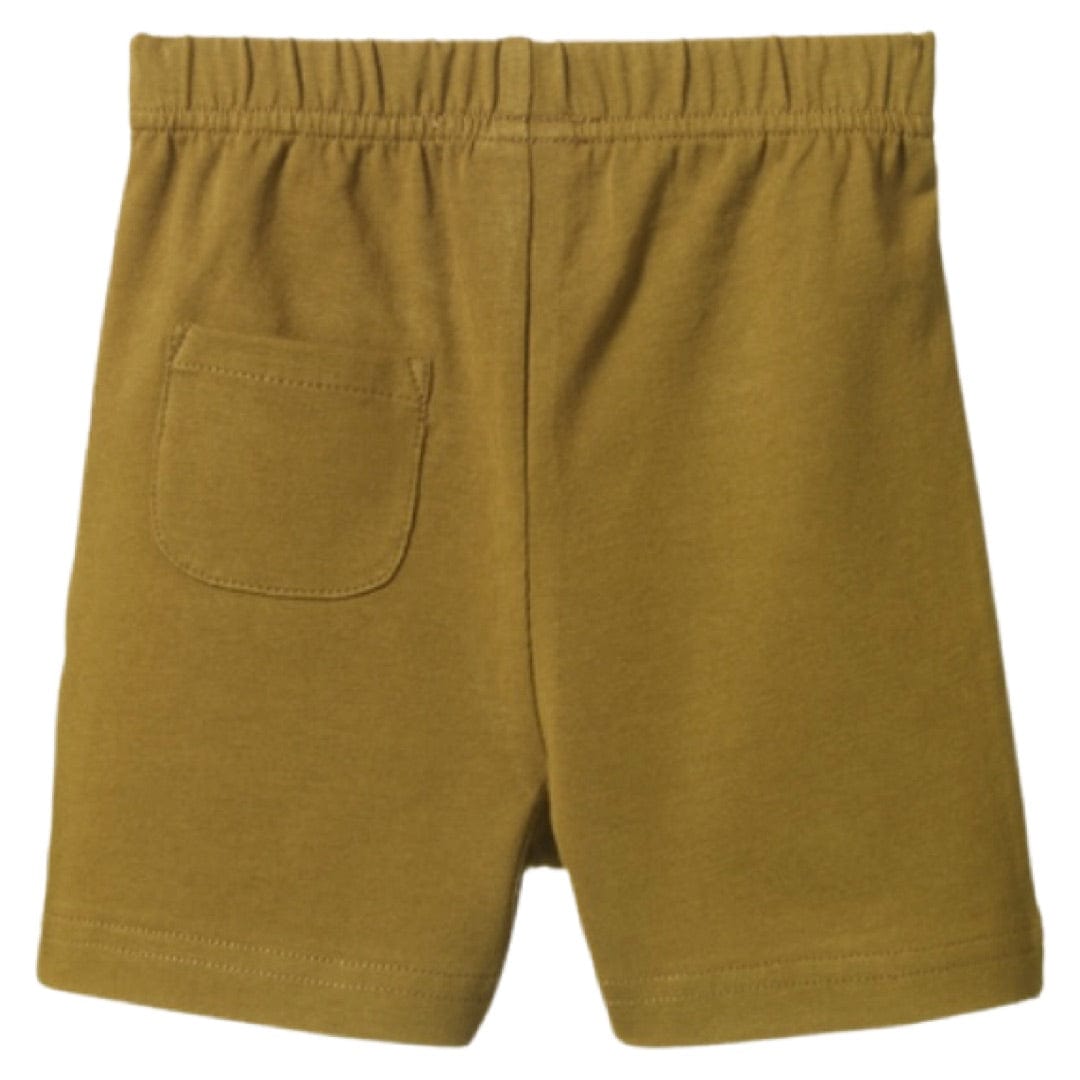 Nature Baby 6-12 Months to 4 Jimmy Shorts - Cactus