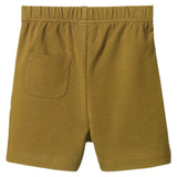 Nature Baby 6-12 Months to 4 Jimmy Shorts - Cactus