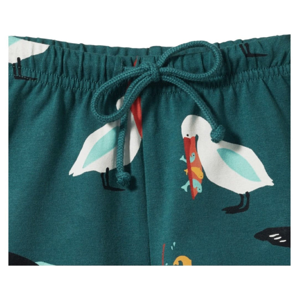 Nature Baby 6-12 Months to 4 Jimmy Shorts - Pelican Party