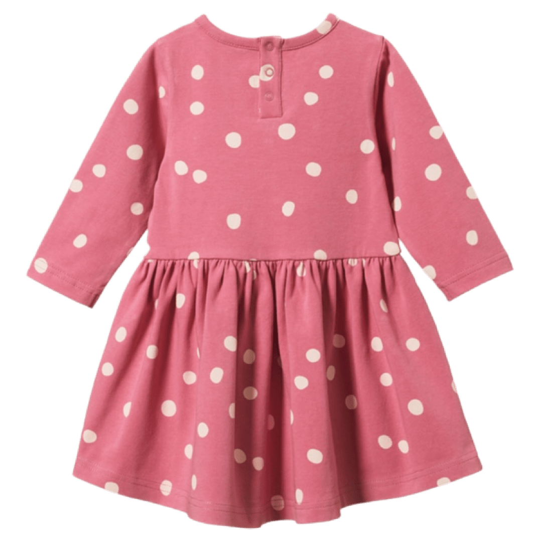 Nature Baby 6-12 Months to 4 Long Sleeve Twirl Dress - Speckle Raspberry