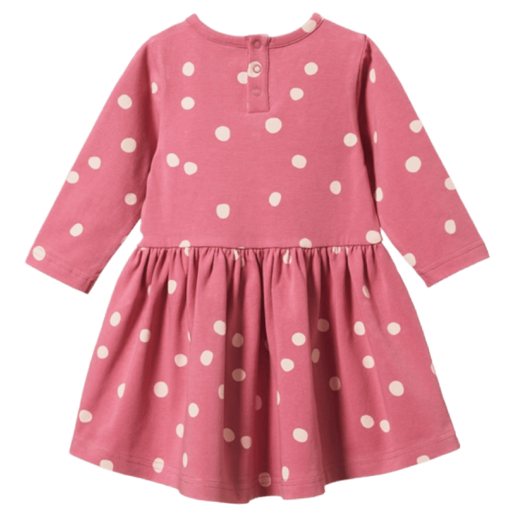 Nature Baby 6-12 Months to 4 Long Sleeve Twirl Dress - Speckle Raspberry