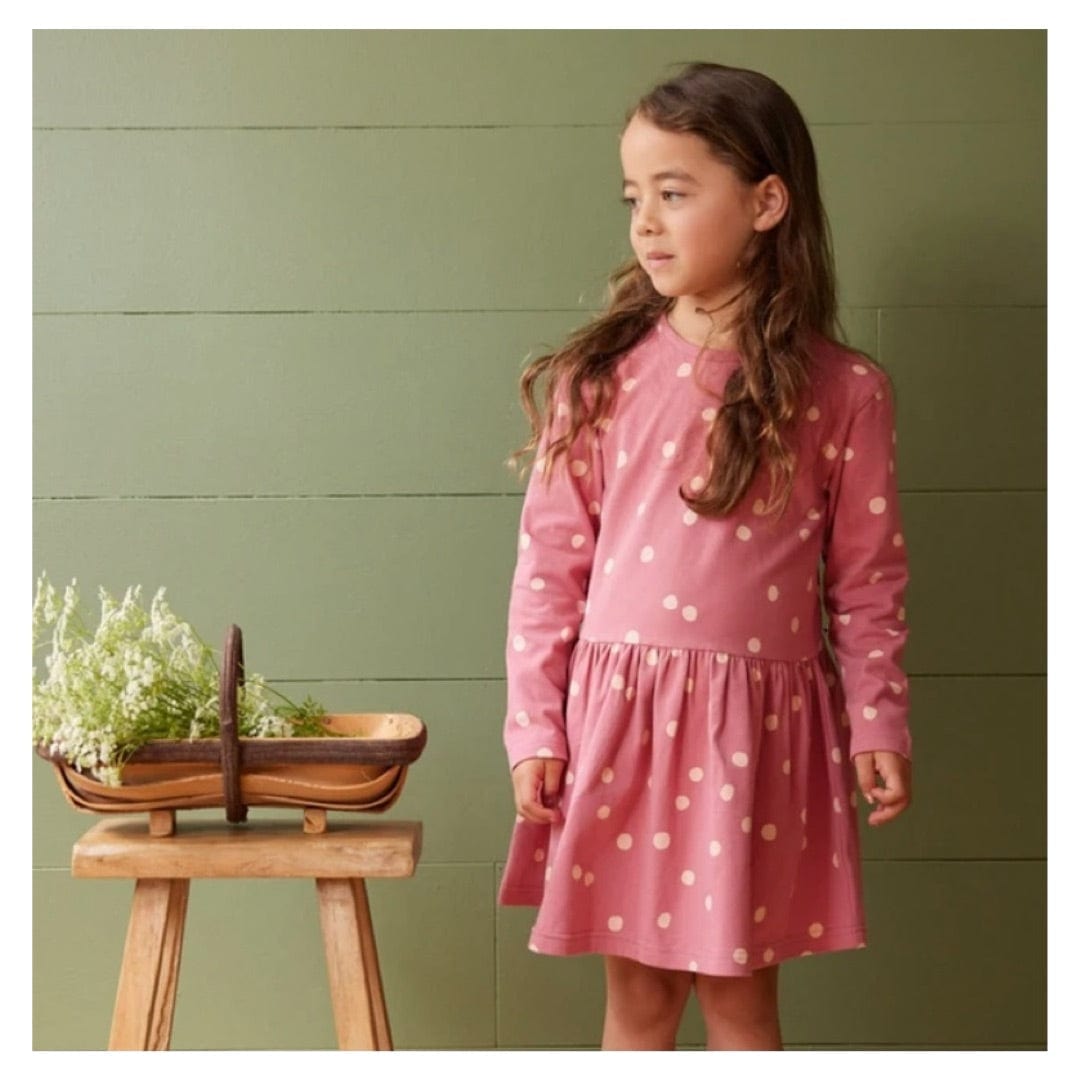Nature Baby 6-12 Months to 4 Long Sleeve Twirl Dress - Speckle Raspberry