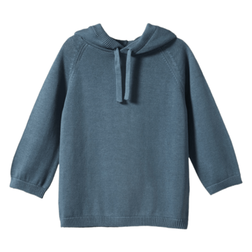 Nature Baby 6-12 Months to 4 Oak Hoodie - Sky Blue