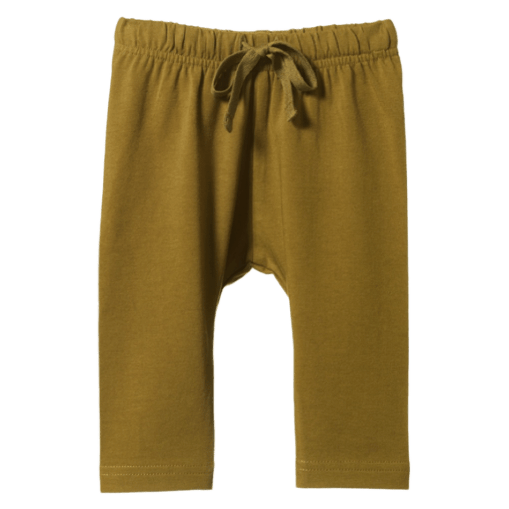 Nature Baby 6-12 Months to 4 Sunday Pants - Cactus