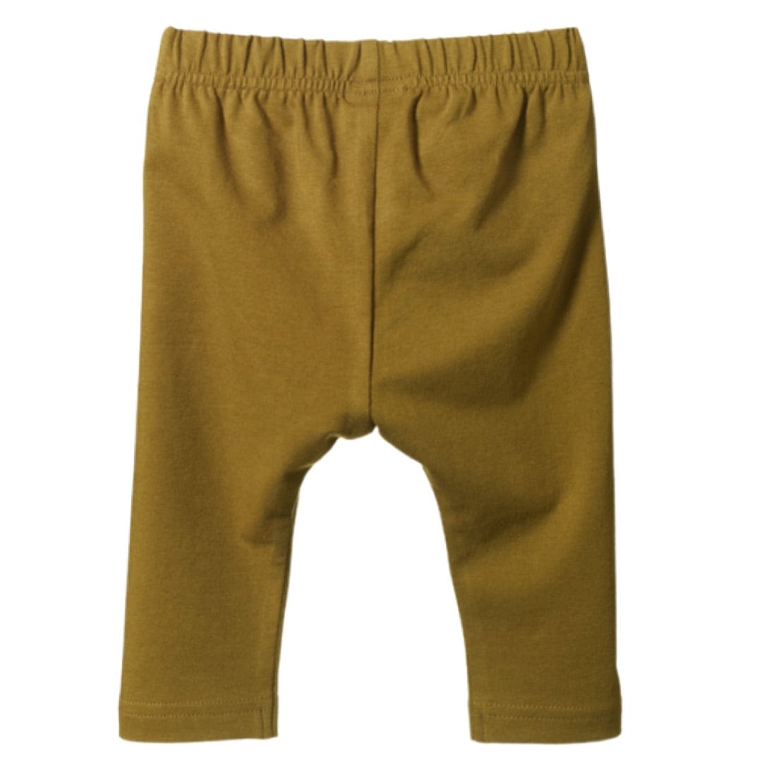 Nature Baby 6-12 Months to 4 Sunday Pants - Cactus