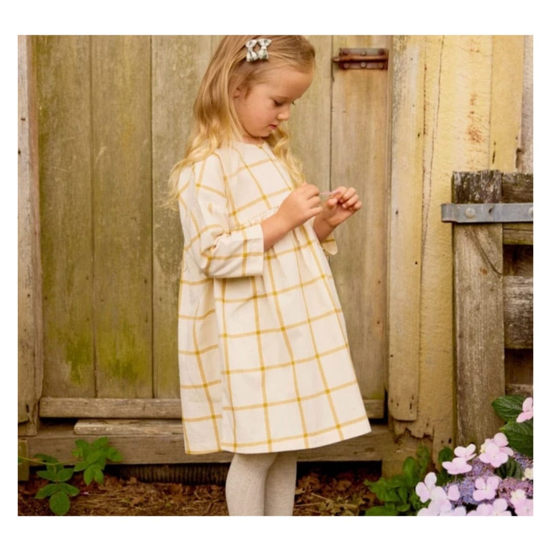 Nature Baby 6-12 Months to 5 Years Agatha Dress - Picnic Check