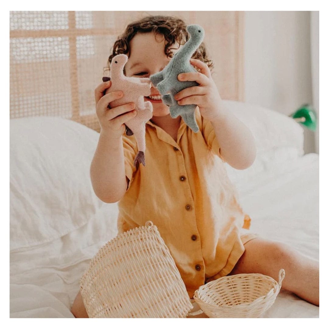 Olli Ella Birth Plus Holdie World Dinosaurs