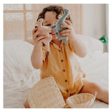 Olli Ella Birth Plus Holdie World Dinosaurs