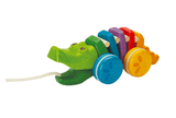 Rainbow Alligator