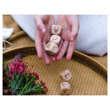 Poppy & Daisy 5 Plus Christmas Story Cubes