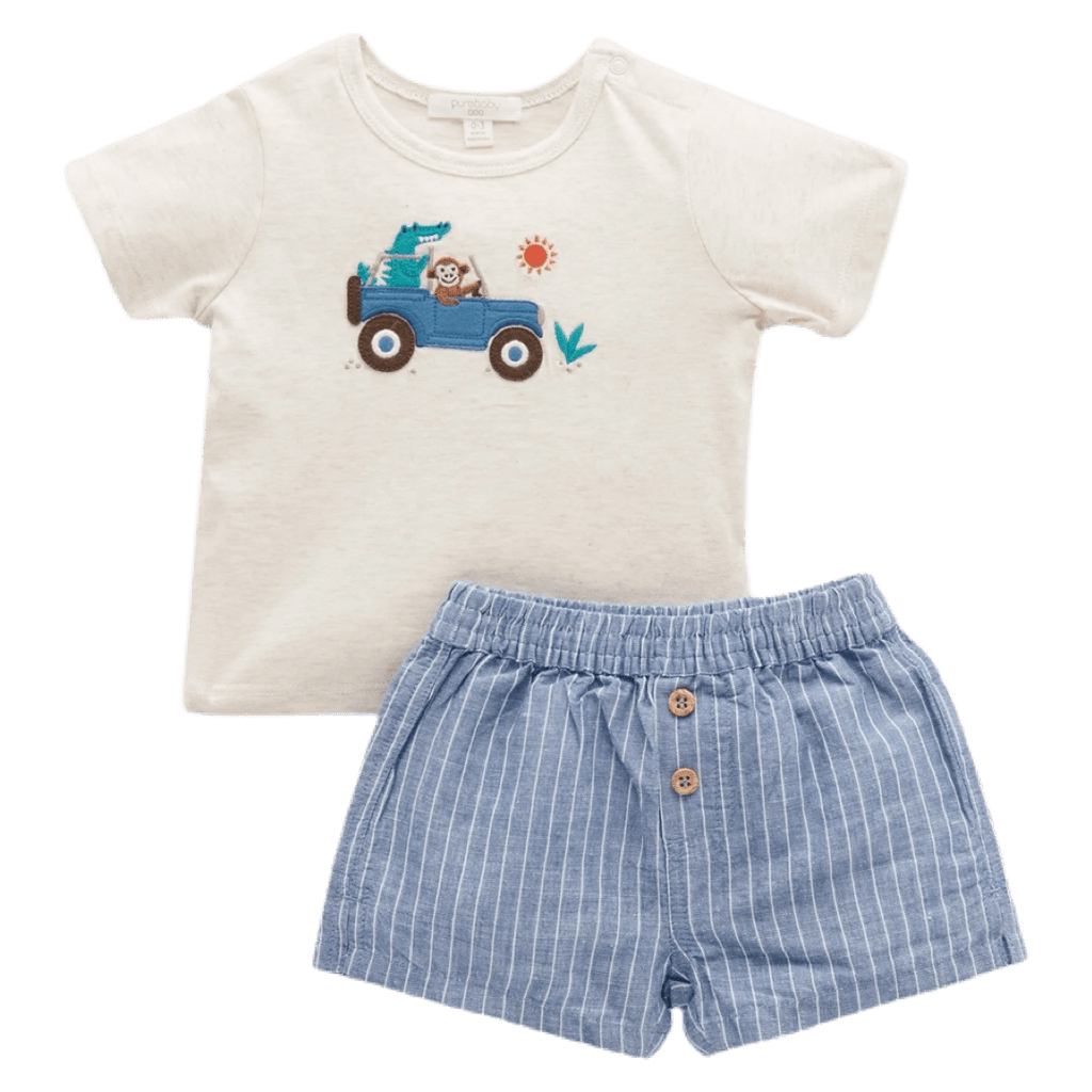 Pure Baby 0-3 Months to 2 Yrs Tee and Short Set - Waves Stripe