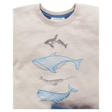 Pure Baby 0 to 5 Whale Pod Set  - Deep Sea Stripe