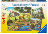 3 x 49 Pc Puzzle - Forest, Zoo & Pets