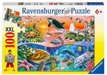 100 Pc Puzzle - Beautiful Ocean