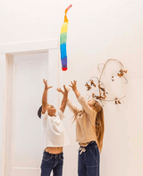 Sarah's Silks 3 Plus Skytail - Rainbow Comet
