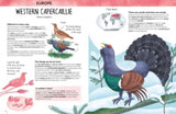 Sassi 6 Plus Atlas of Biodiversity, Animals - Durand, Camusso