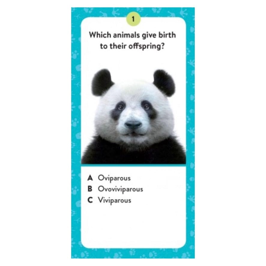 Sassi 6 Plus Ultimate Atlas: 3D Model, Book & Quiz Set - Animals