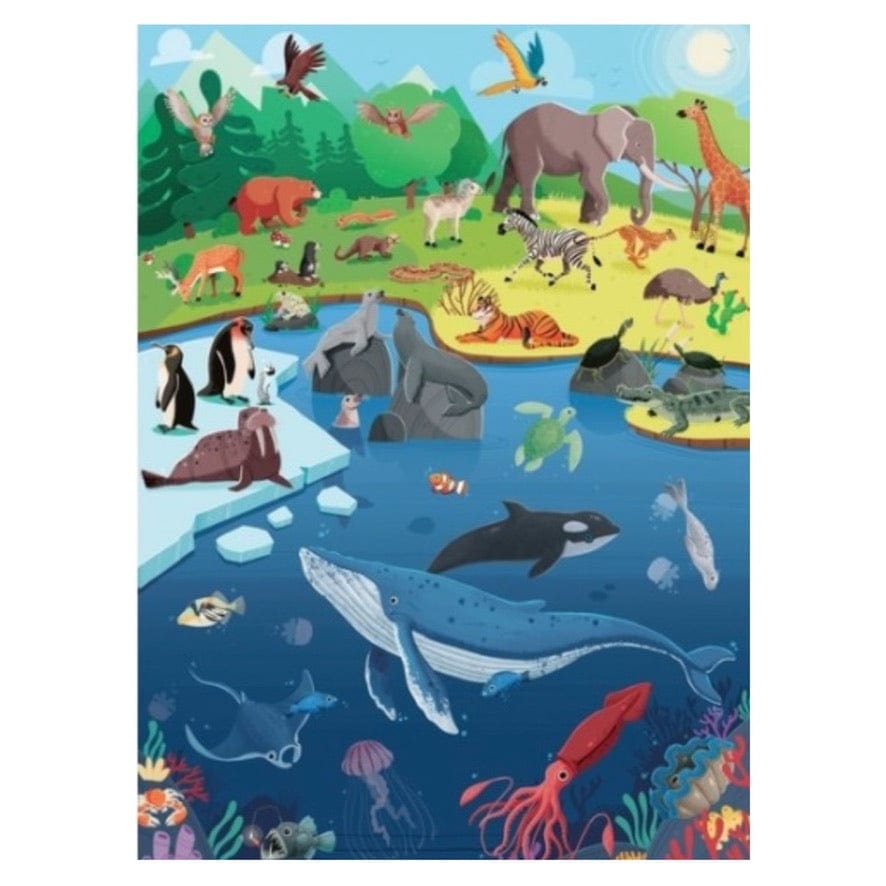 Sassi 6 Plus What, How, Why - Animals, Book & Poster