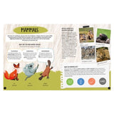 Sassi 6 Plus What, How, Why - Animals, Book & Poster