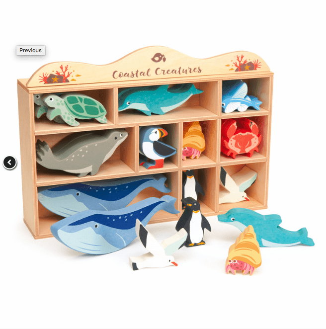 Coastal Creatures