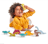 Dinosaur Set