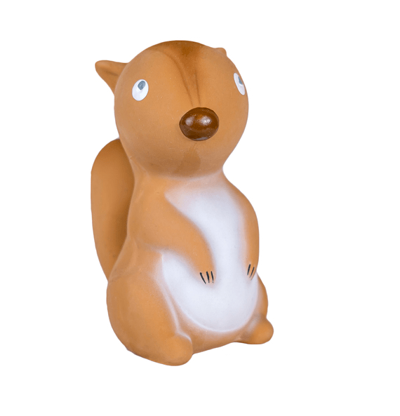 Tikiri Birth Plus Squirrel My First Arctic Animals