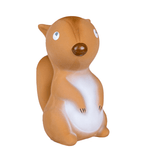 Tikiri Birth Plus Squirrel My First Arctic Animals
