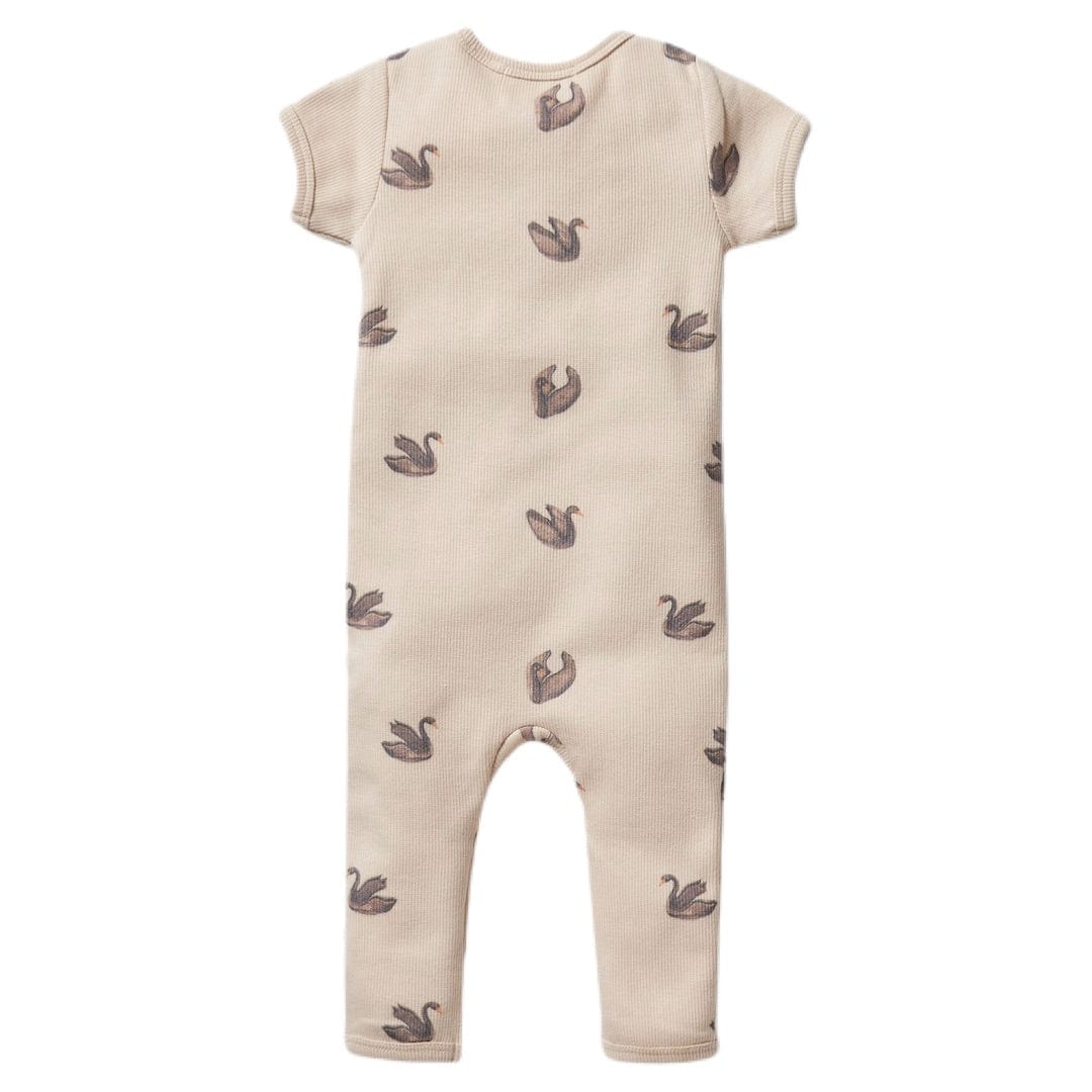 Wilson & Frenchy 0-3 Months to 12-18 Months Rib Short Sleeve Zipsuit - Little Swan
